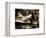 Zoom-Stephen Arens-Framed Photographic Print