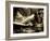 Zoom-Stephen Arens-Framed Photographic Print