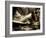 Zoom-Stephen Arens-Framed Photographic Print