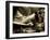 Zoom-Stephen Arens-Framed Photographic Print