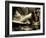 Zoom-Stephen Arens-Framed Photographic Print