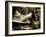 Zoom-Stephen Arens-Framed Photographic Print