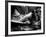 Zoom-Stephen Arens-Framed Photographic Print