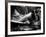 Zoom-Stephen Arens-Framed Photographic Print