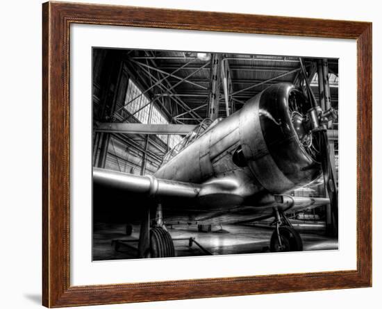 Zoom-Stephen Arens-Framed Photographic Print