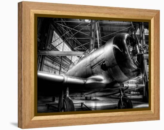 Zoom-Stephen Arens-Framed Premier Image Canvas