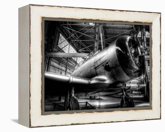 Zoom-Stephen Arens-Framed Premier Image Canvas