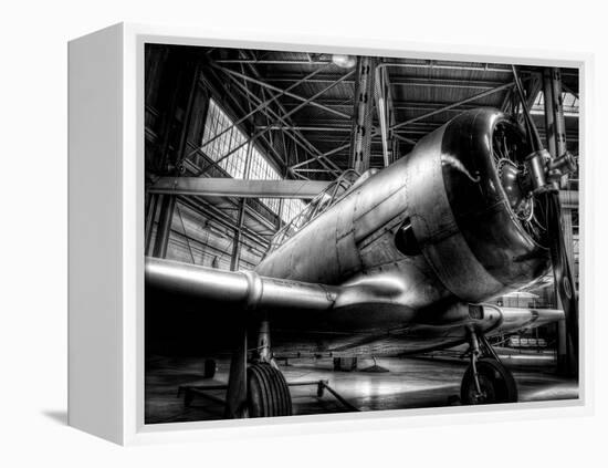 Zoom-Stephen Arens-Framed Premier Image Canvas