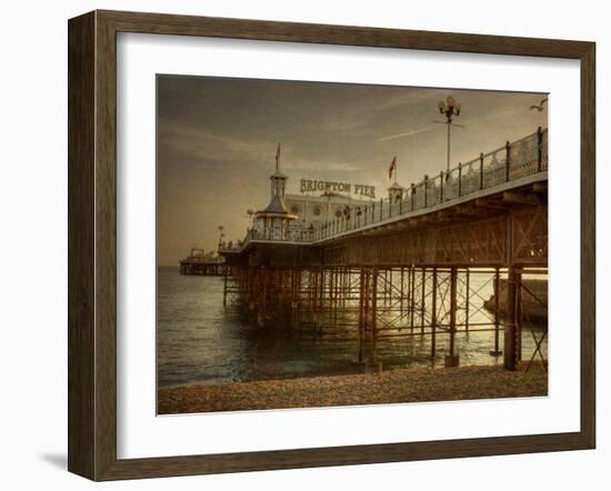 Zoombee-Tim Kahane-Framed Photographic Print