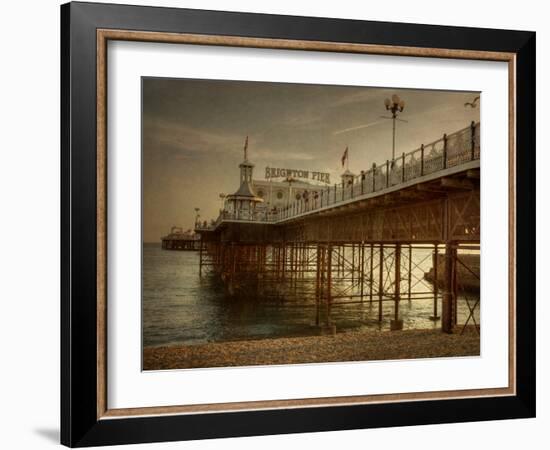 Zoombee-Tim Kahane-Framed Photographic Print