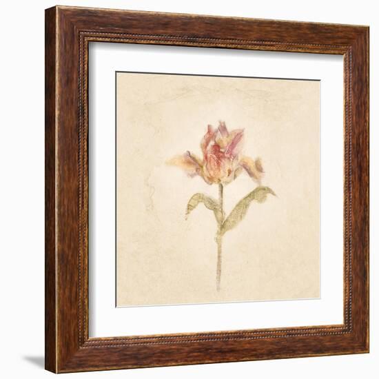 Zoomer Schoon Tulip on White Crop-Cheri Blum-Framed Art Print