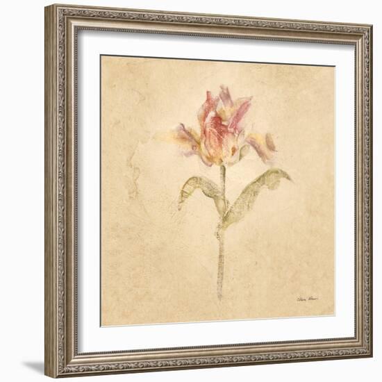 Zoomer Schoon Tulip-Cheri Blum-Framed Art Print