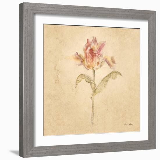 Zoomer Schoon Tulip-Cheri Blum-Framed Art Print