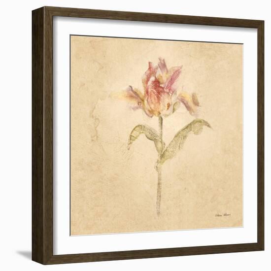 Zoomer Schoon Tulip-Cheri Blum-Framed Art Print