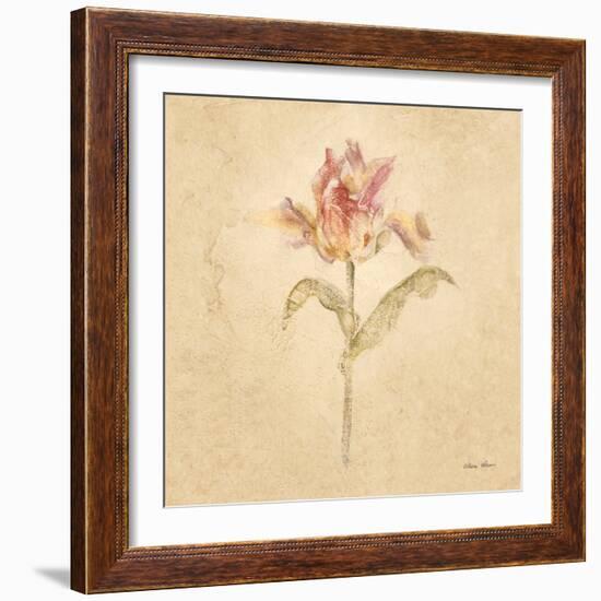 Zoomer Schoon Tulip-Cheri Blum-Framed Art Print