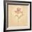 Zoomer Schoon Tulip-Cheri Blum-Framed Art Print