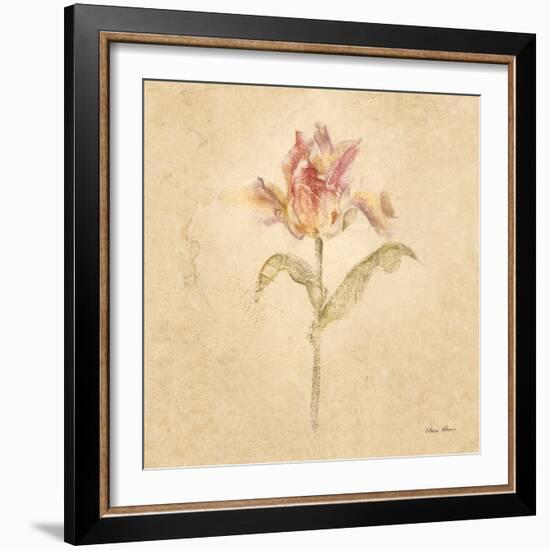 Zoomer Schoon Tulip-Cheri Blum-Framed Art Print