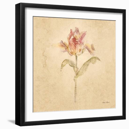 Zoomer Schoon Tulip-Cheri Blum-Framed Art Print