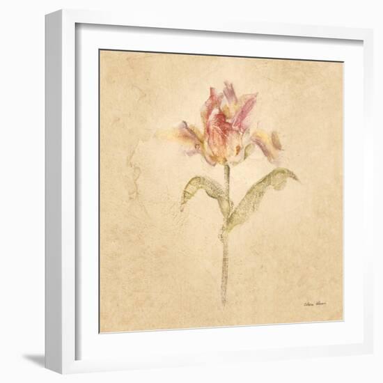 Zoomer Schoon Tulip-Cheri Blum-Framed Art Print