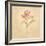 Zoomer Schoon Tulip-Cheri Blum-Framed Art Print