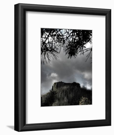 Zoomify-Tim Kahane-Framed Photographic Print