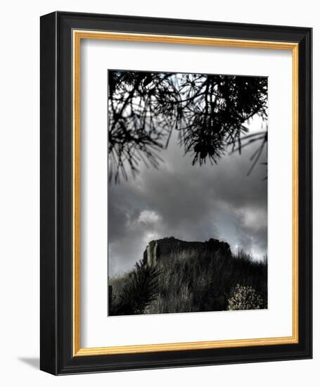 Zoomify-Tim Kahane-Framed Photographic Print