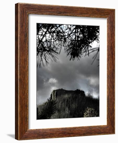 Zoomify-Tim Kahane-Framed Photographic Print