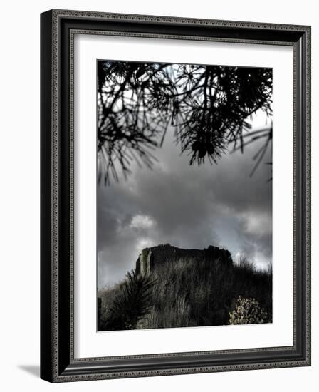 Zoomify-Tim Kahane-Framed Photographic Print