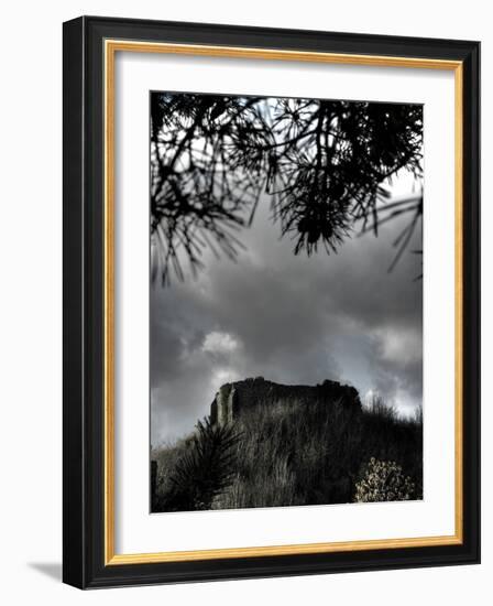 Zoomify-Tim Kahane-Framed Photographic Print