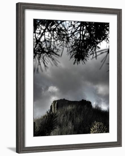 Zoomify-Tim Kahane-Framed Photographic Print