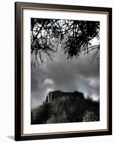 Zoomify-Tim Kahane-Framed Photographic Print