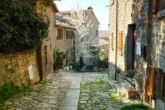 Italian Old Street . Tuscany-ZoomTeam-Framed Premier Image Canvas