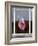 Zoondu-Craig Satterlee-Framed Photographic Print