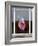 Zoondu-Craig Satterlee-Framed Photographic Print