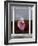 Zoondu-Craig Satterlee-Framed Photographic Print