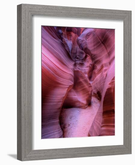 Zootri-Jim Crotty-Framed Photographic Print