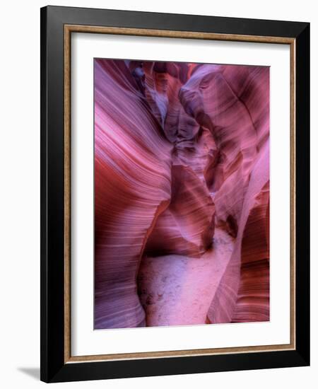 Zootri-Jim Crotty-Framed Photographic Print