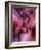 Zootri-Jim Crotty-Framed Photographic Print