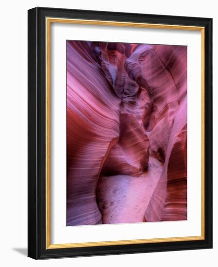 Zootri-Jim Crotty-Framed Photographic Print