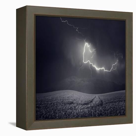 Zootz-Luis Beltran-Framed Premier Image Canvas