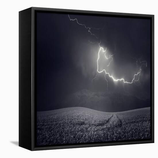 Zootz-Luis Beltran-Framed Premier Image Canvas