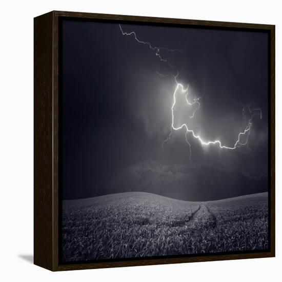 Zootz-Luis Beltran-Framed Premier Image Canvas