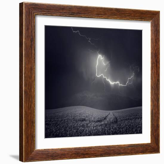 Zootz-Luis Beltran-Framed Photographic Print