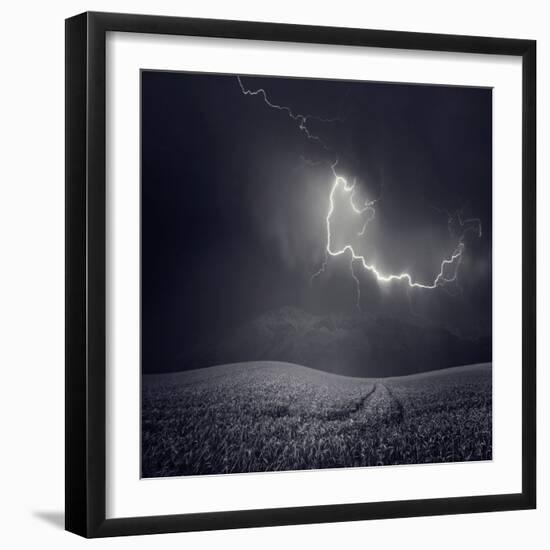 Zootz-Luis Beltran-Framed Photographic Print