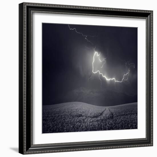 Zootz-Luis Beltran-Framed Photographic Print