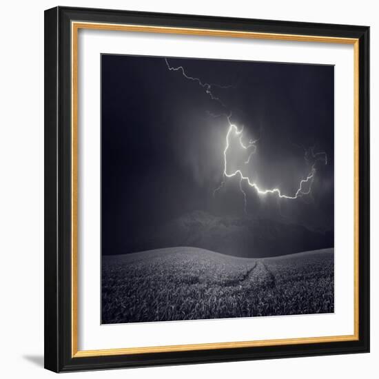 Zootz-Luis Beltran-Framed Photographic Print