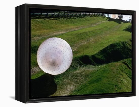 Zorbs People Moving Inside Balls on Lawn, Rotorua, New Zealand-John Banagan-Framed Premier Image Canvas