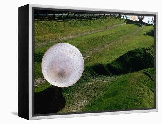 Zorbs People Moving Inside Balls on Lawn, Rotorua, New Zealand-John Banagan-Framed Premier Image Canvas