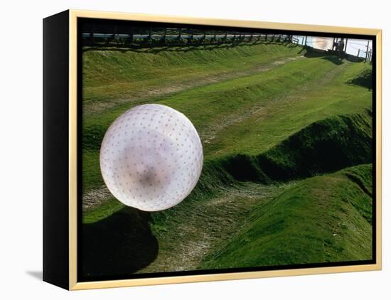 Zorbs People Moving Inside Balls on Lawn, Rotorua, New Zealand-John Banagan-Framed Premier Image Canvas