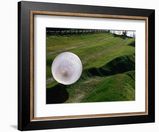 Zorbs People Moving Inside Balls on Lawn, Rotorua, New Zealand-John Banagan-Framed Photographic Print